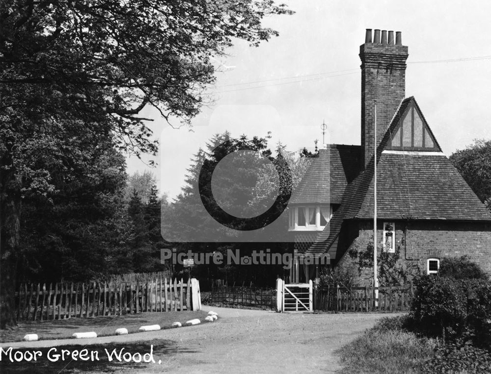 Beauvale Lodge, High Park Wood, Moorgreen, c 1950