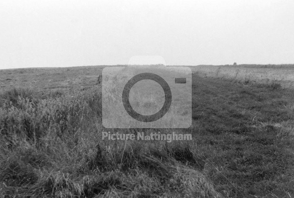 Mill Field, Laxton, 1968