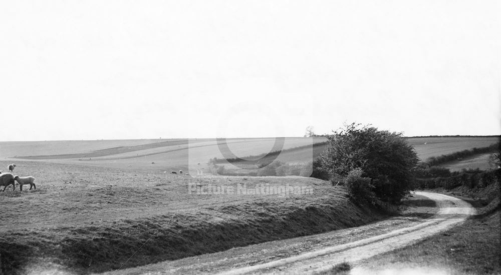 West Field, Laxton, 1950s?