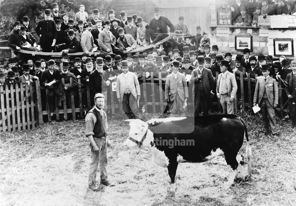 Cattle Market, Newark on Trent, 1890s