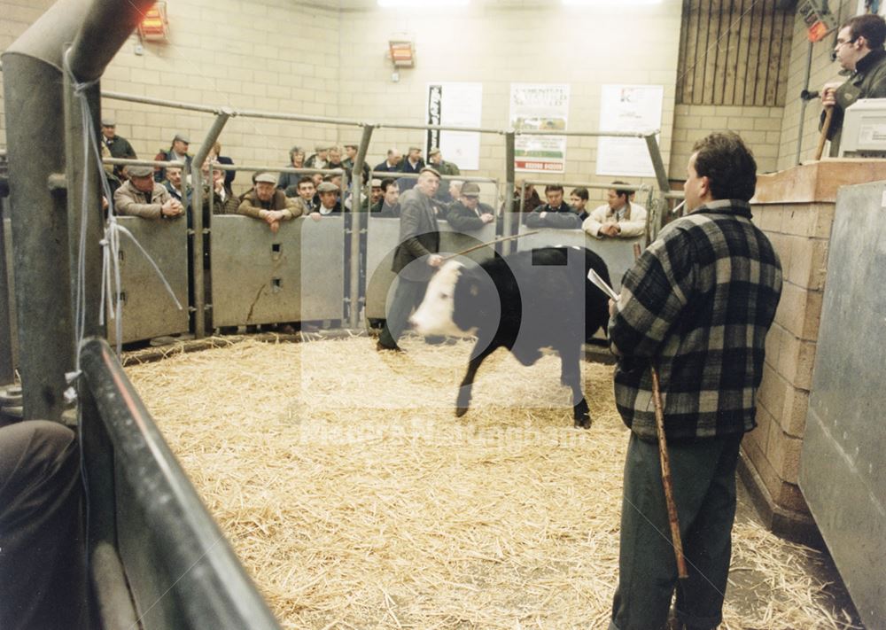 Cattle Market, Newark on Trent, 1996