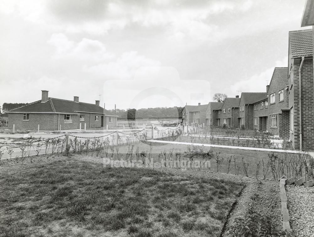 Beechwood Crescent, Ranby, 1956