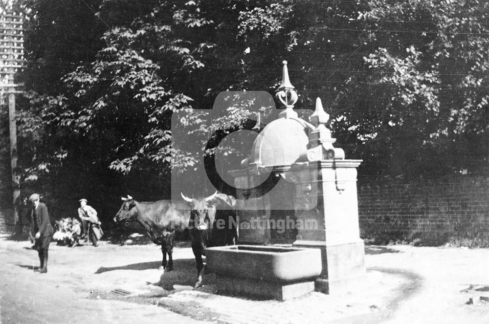 Water Fountain and Troughs, Main Road, Radcliffe on Trent, c 1930 ?