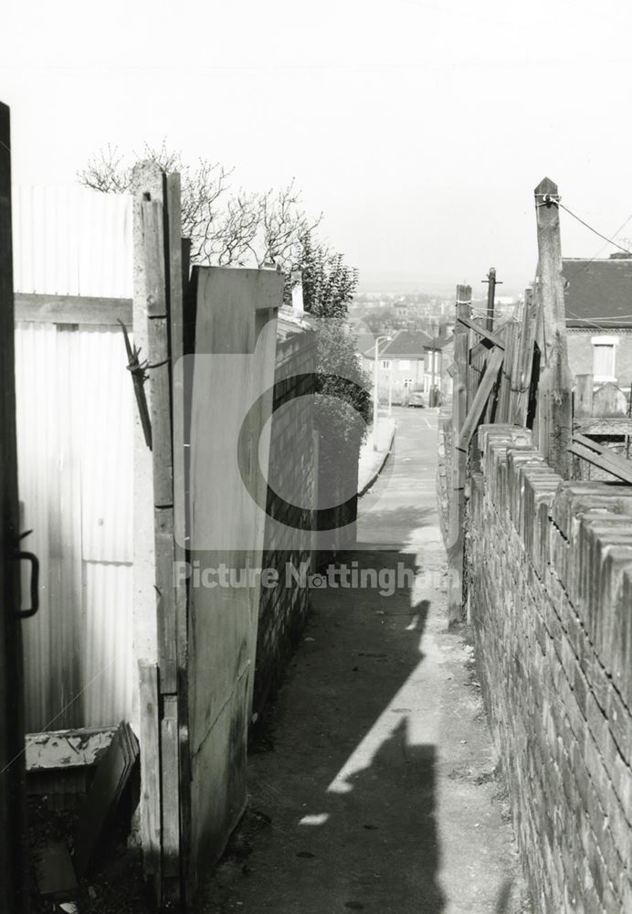 Back Alley, Basford, 1980