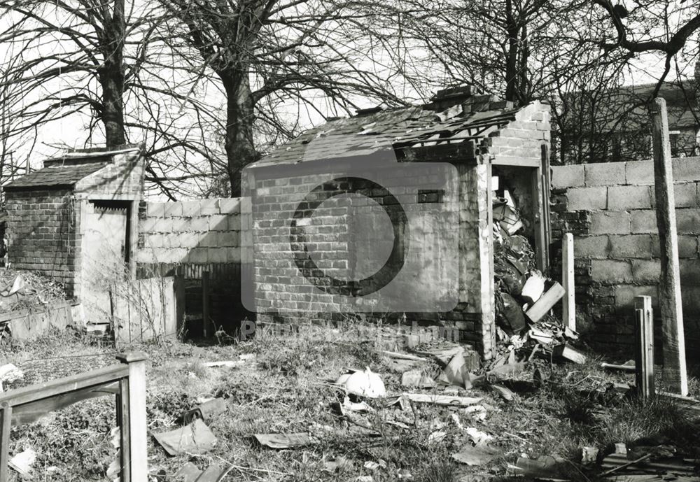 Backyard, Basford, 1980